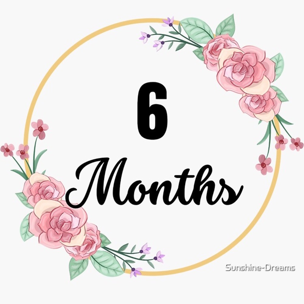 6 Months Baby Girl Clothes